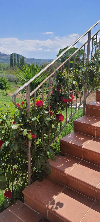 Casa Vacanze Cerreto 3 Miglianico Ngoại thất bức ảnh
